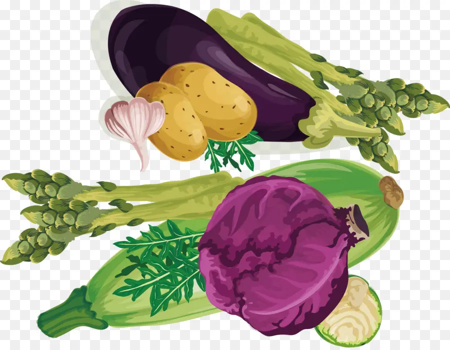 Légume Feuille，Violet PNG