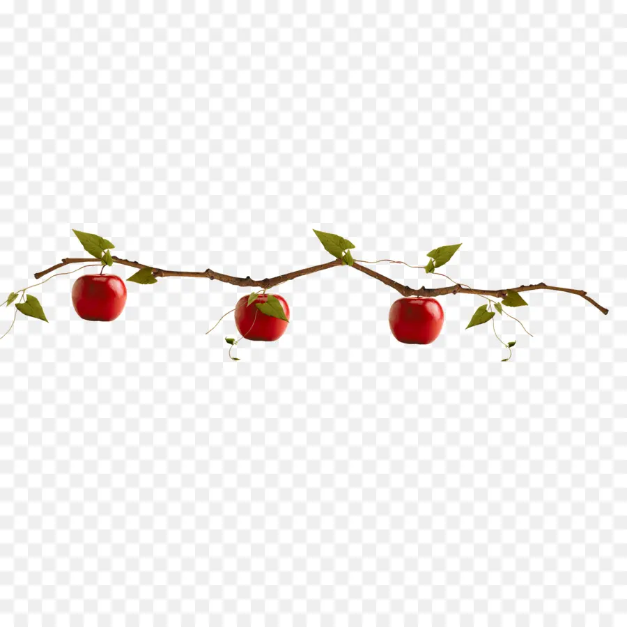 Pommes Rouges Sur Branche，Fruit PNG