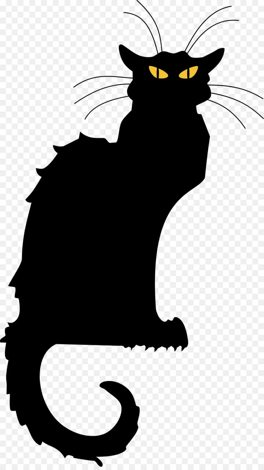 Chat Noir，Animal PNG