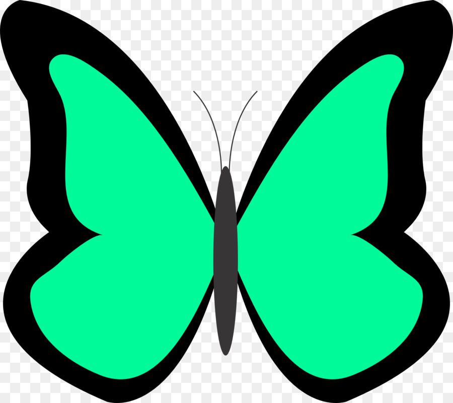 Papillon，Contenu Gratuit PNG