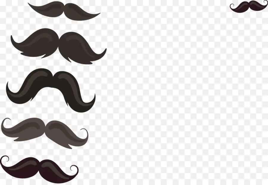 Moustache Noire，Poils Du Visage PNG