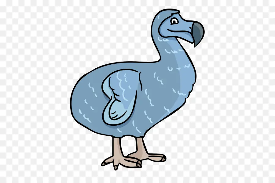 Dodo Bleu，Oiseau PNG