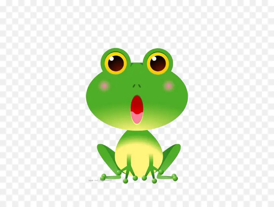 Grenouille，Rainette PNG