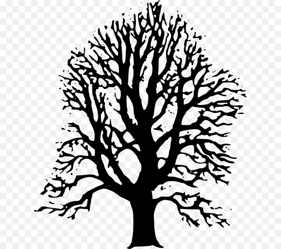 Arbre Noir，Succursales PNG