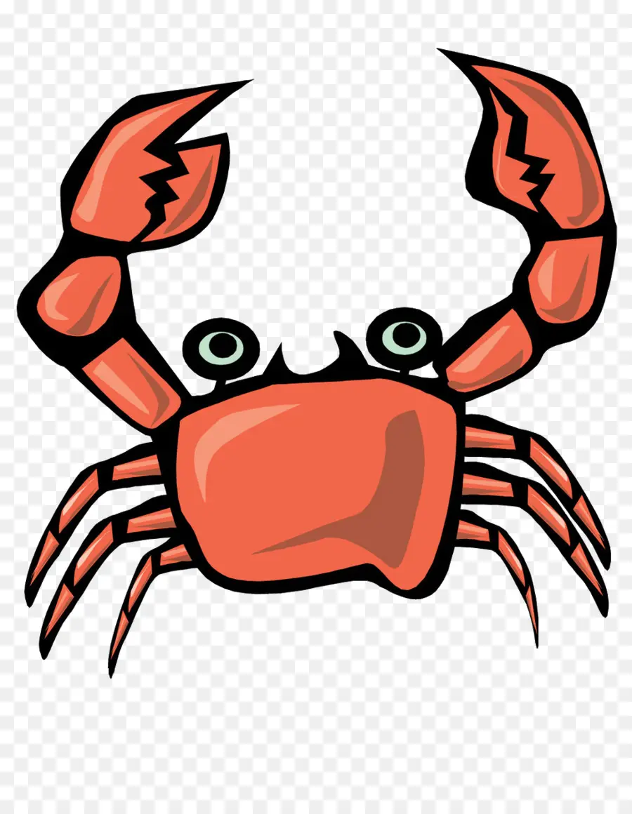 Crabe Orange，Mer PNG