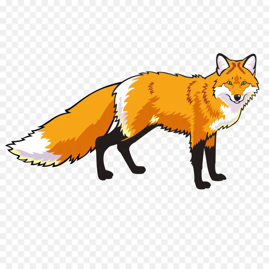 Renard Orange，Faune PNG