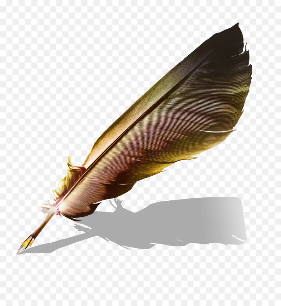 Plume，Penne PNG