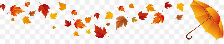 Feuilles D'automne Et Parapluie，Feuilles PNG