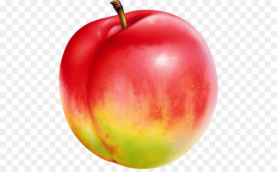 Nectarine，Saturne Pêche PNG