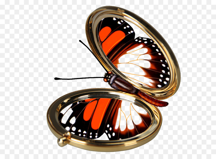 Miroir Magique，Papillon PNG