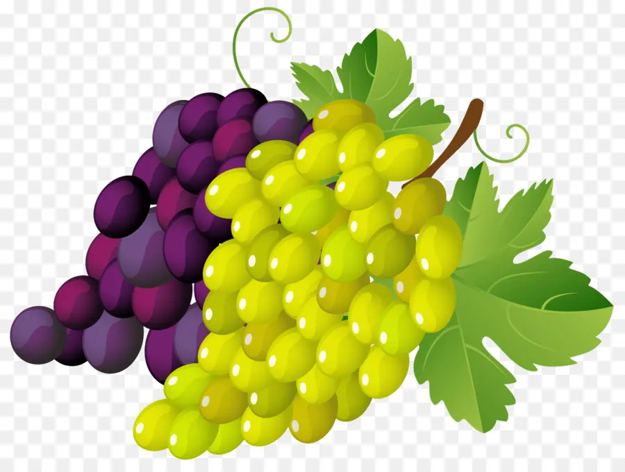 Vin，Commune De Vigne PNG