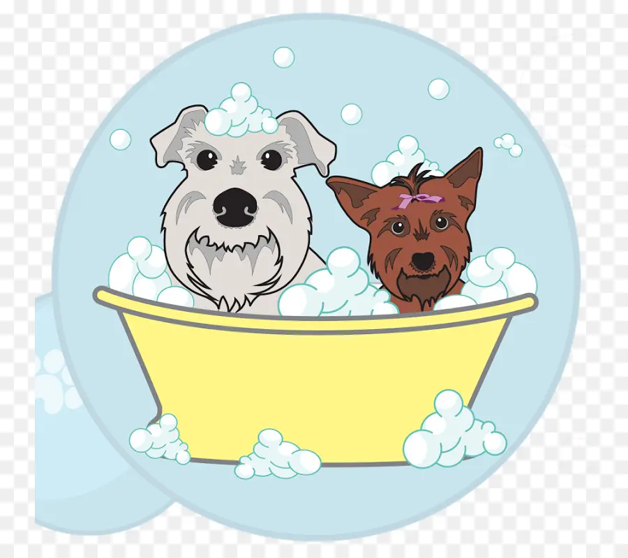 Chiens Dans La Baignoire，Bain PNG