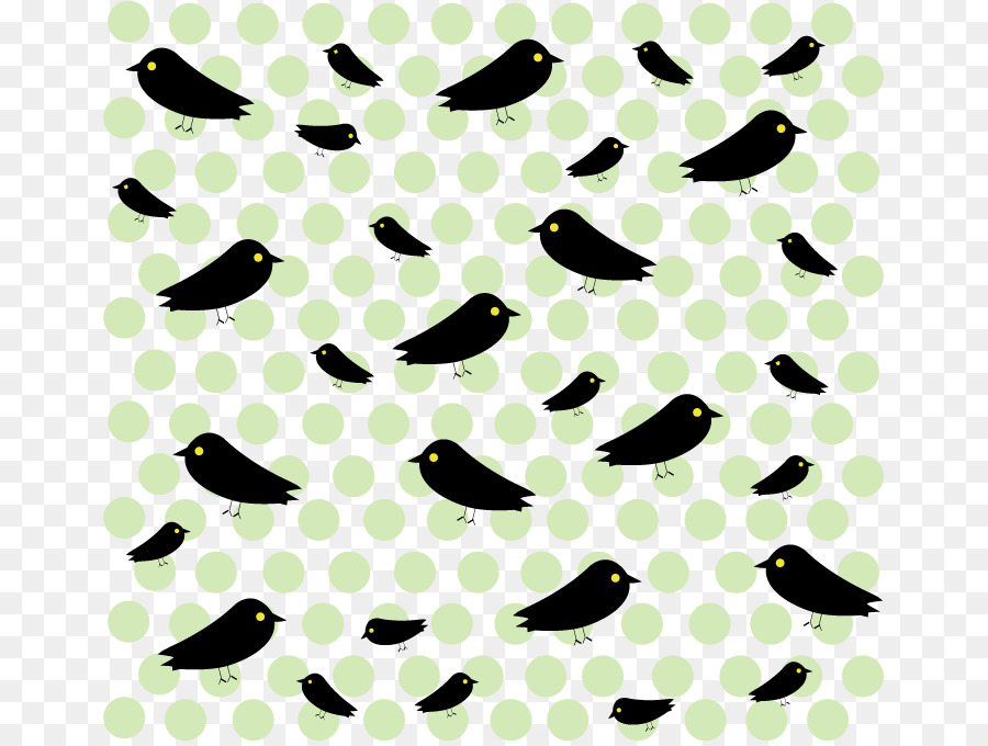 Oiseaux，Noir PNG