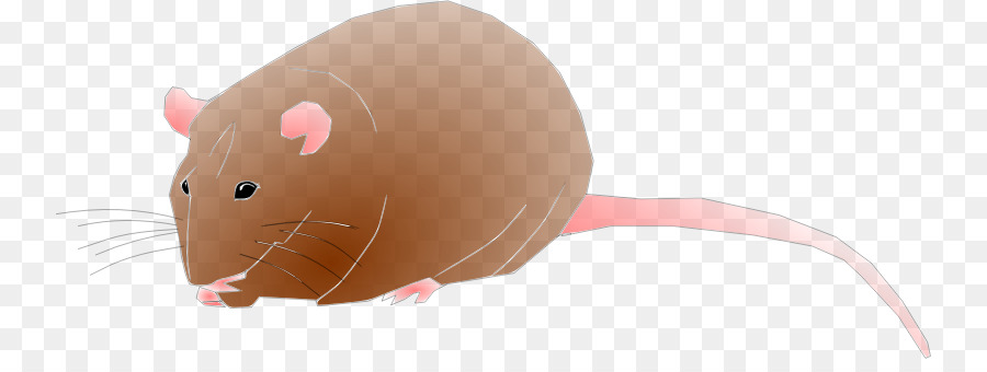 Souris，Rongeur PNG