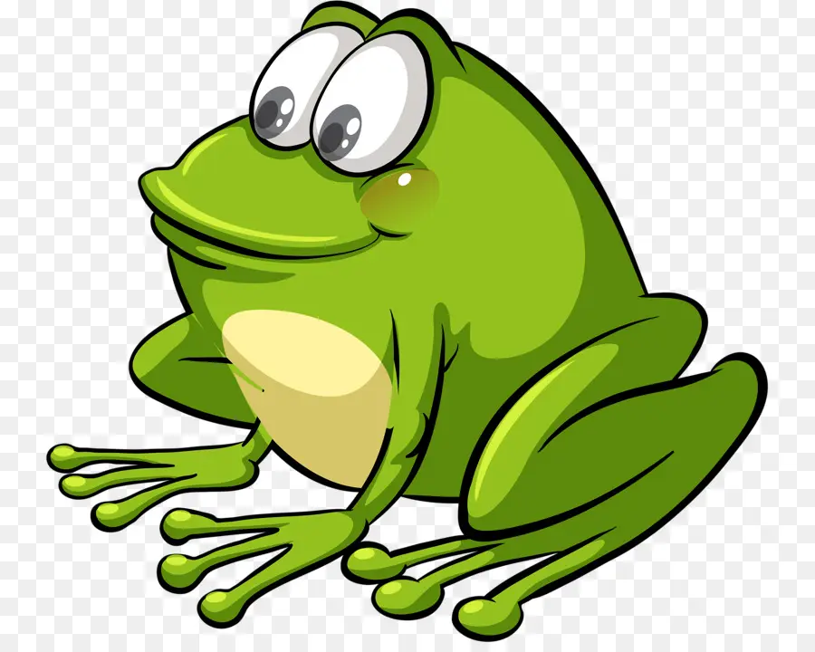 Grenouille De Dessin Animé，Amphibie PNG