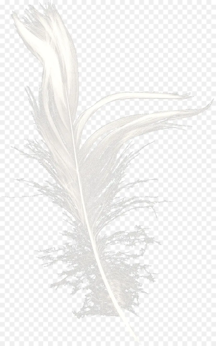 Plume，Lumière PNG