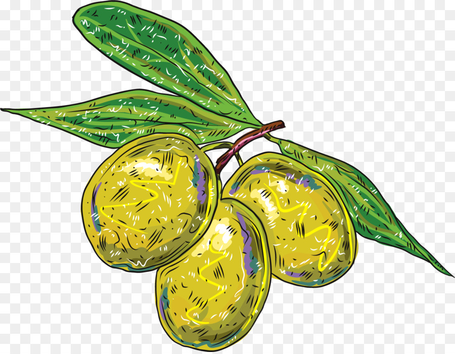 Fruits Jaunes，Feuilles PNG