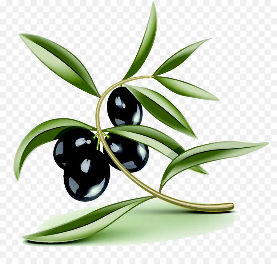 Olive，Huile D'olive PNG