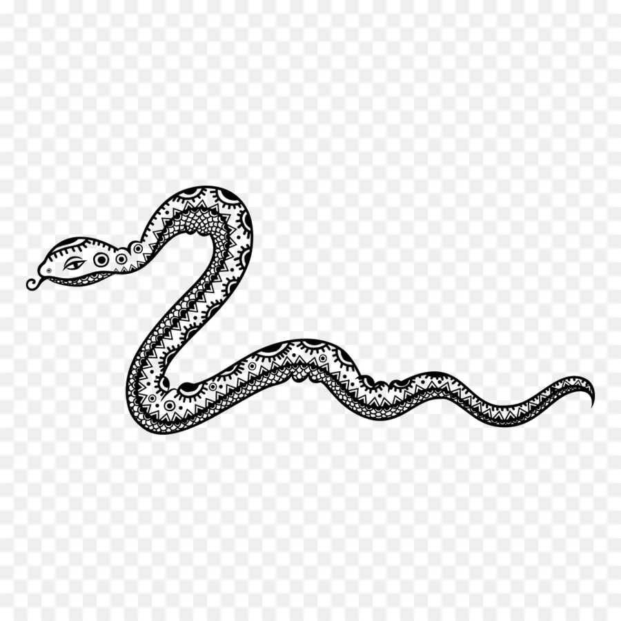 Serpent，Reptile PNG