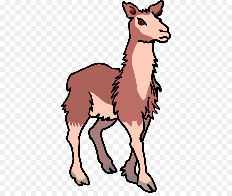 Lama，Mammifère PNG