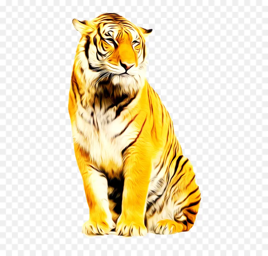 Tigre，Rayé PNG