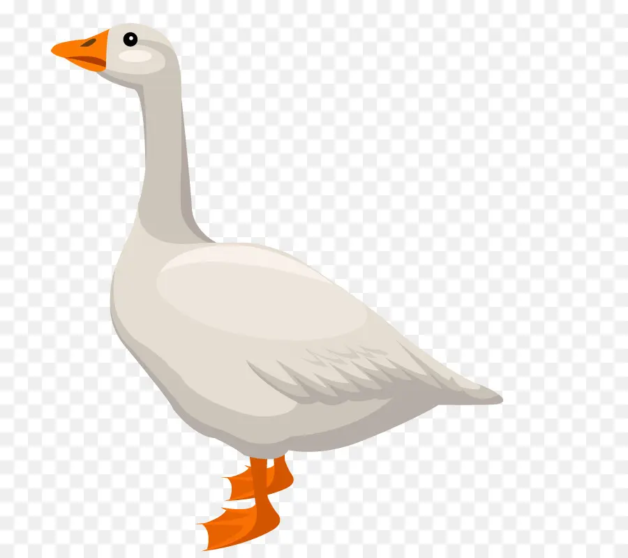 Canard，Bec PNG