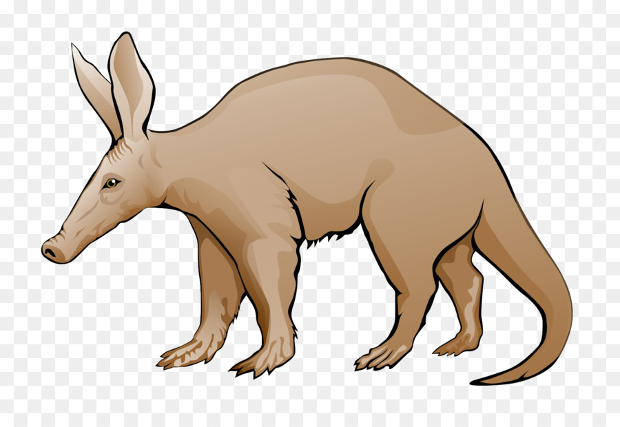 Aardvark, Site Web, Stockxchng PNG - Aardvark, Site Web, Stockxchng