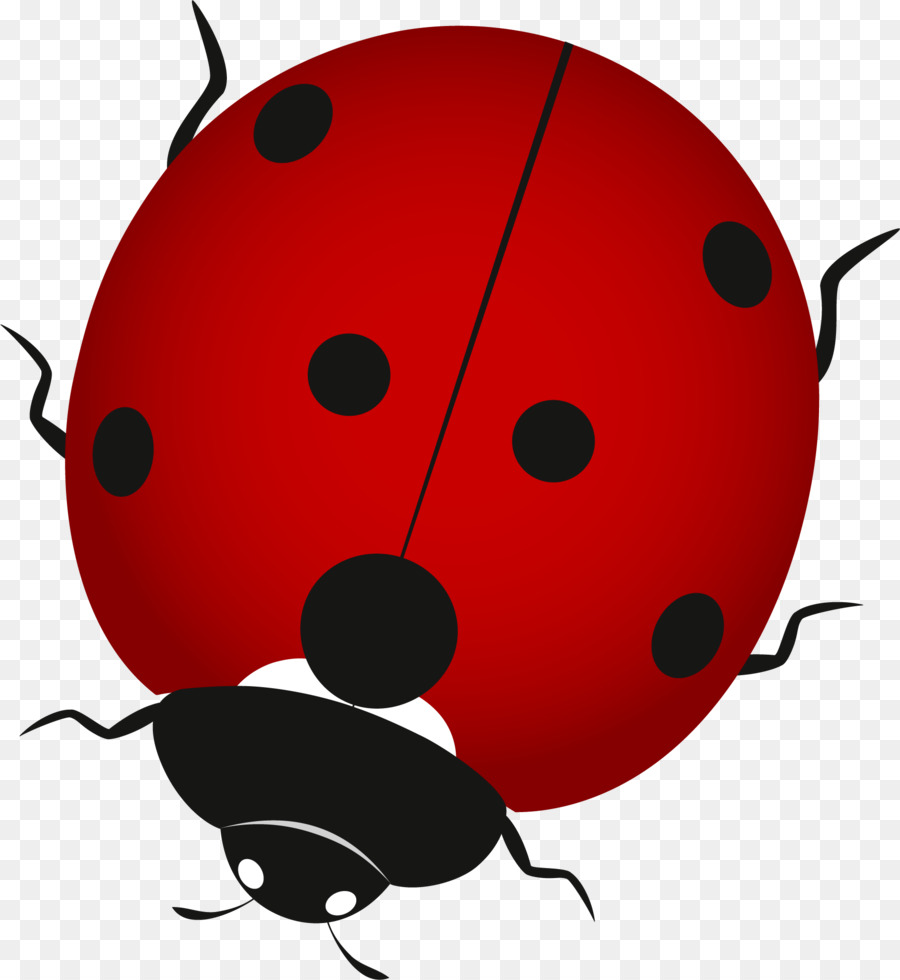 Coccinelle，Rouge PNG