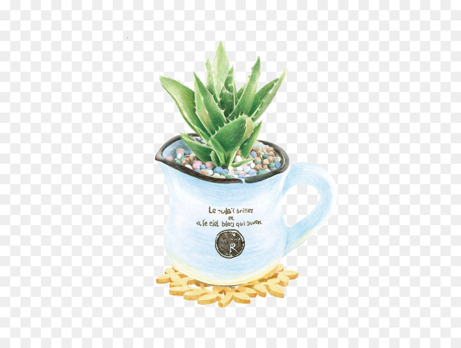 Plante Dans Une Tasse，Succulent PNG