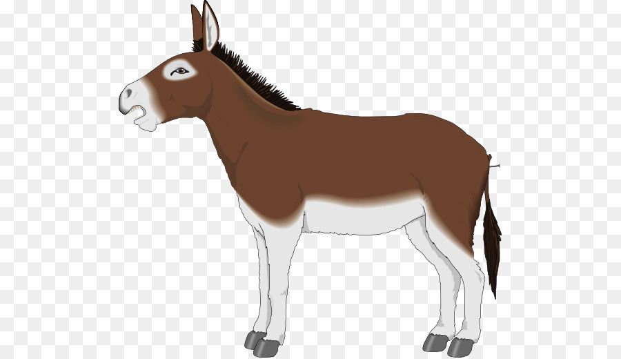 Âne，Mule PNG