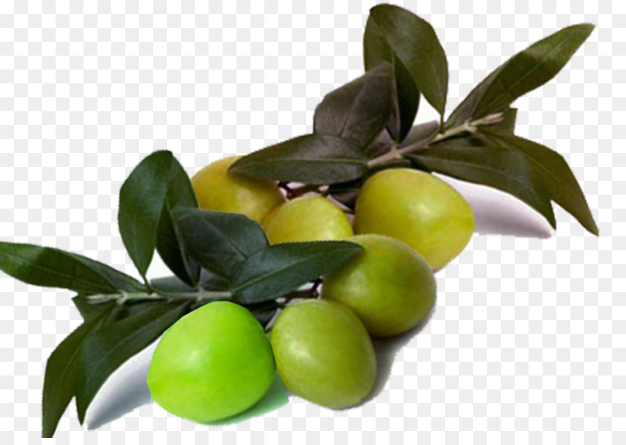 Olives，Fruit PNG