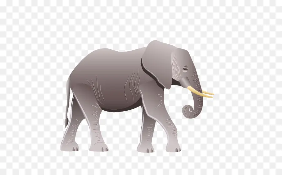 Éléphant，Défenses PNG