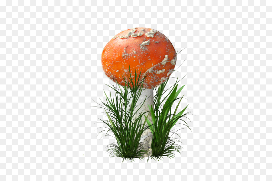 Champignon，Usine PNG