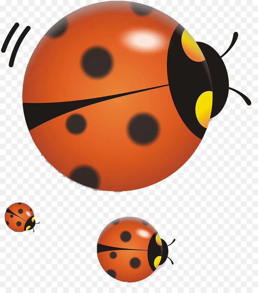 Coccinelle，Rouge PNG