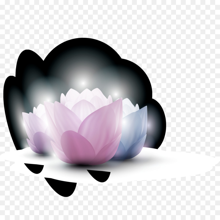 Nelumbo Nucifera，Télécharger PNG