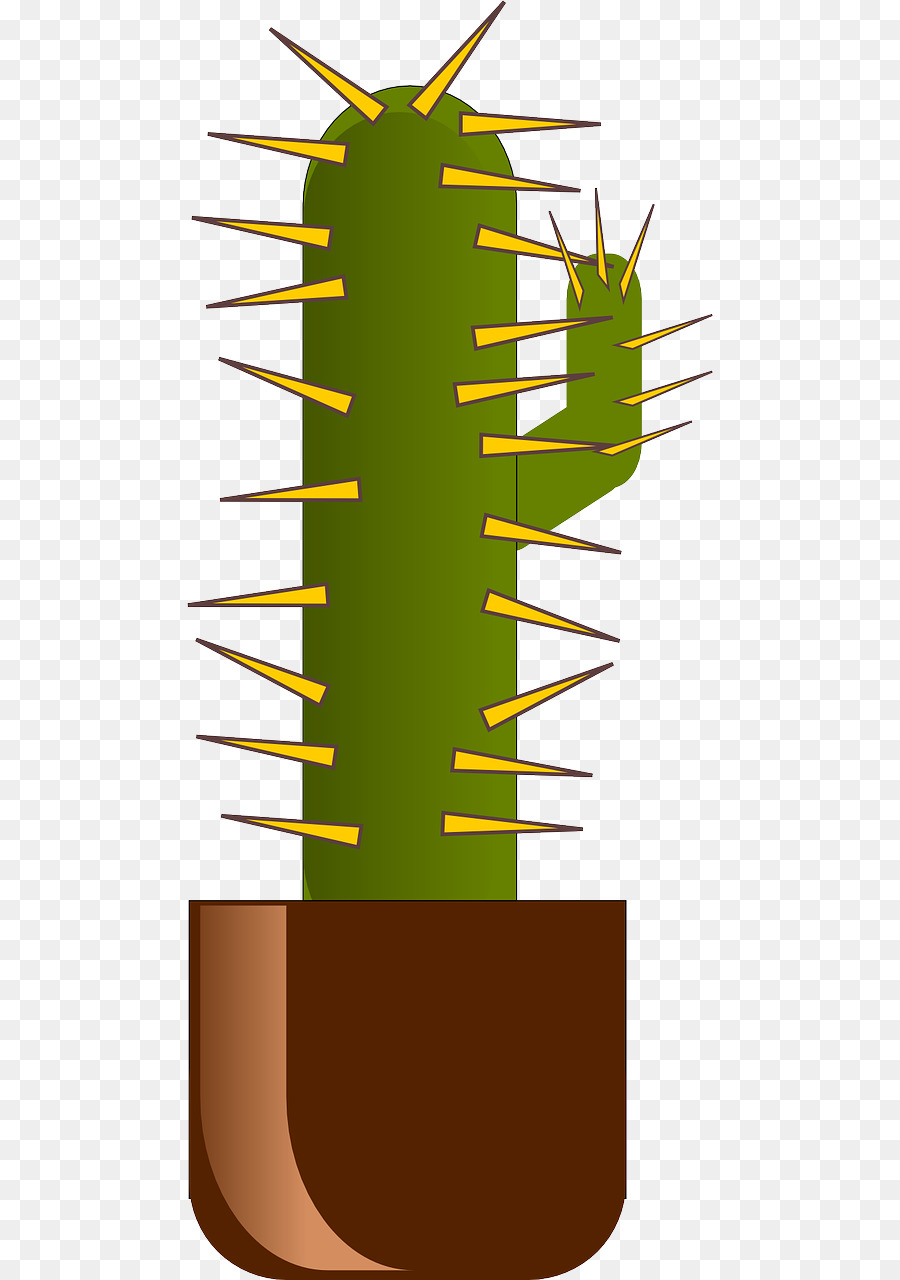 Cactus，Succulent PNG