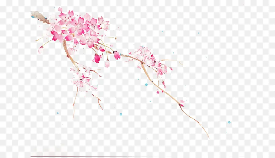 Sakuracon，Fleur De Cerisier PNG