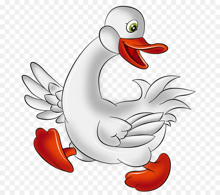 Canard De Dessin Animé，Canard PNG