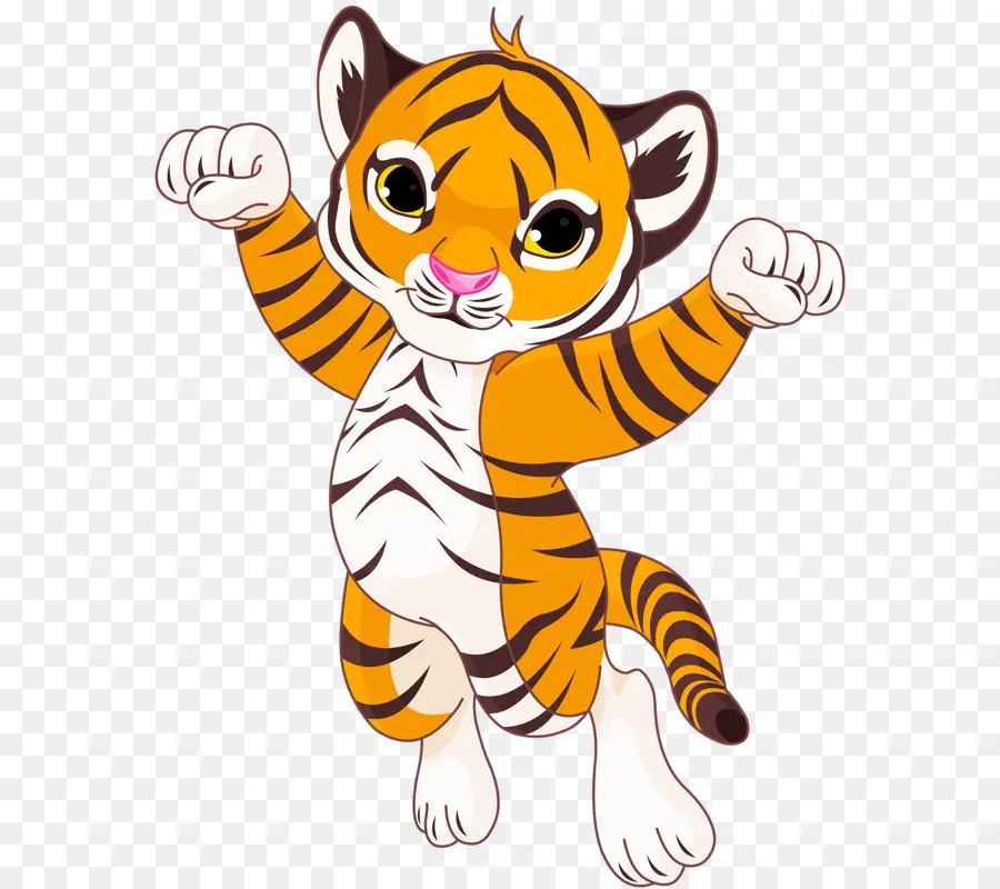 Tigre Mignon，Dessin Animé PNG