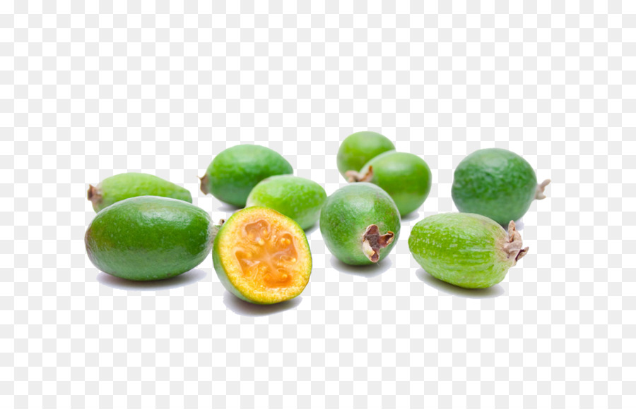 Feijoa，Vert PNG