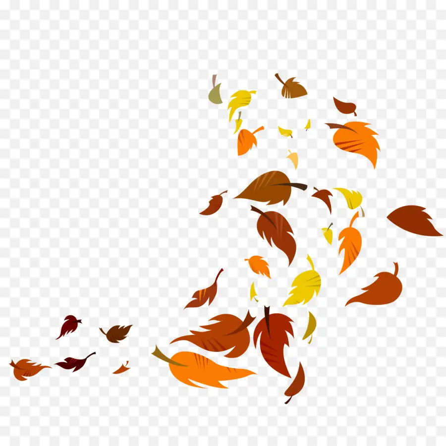 Feuilles，Automne PNG