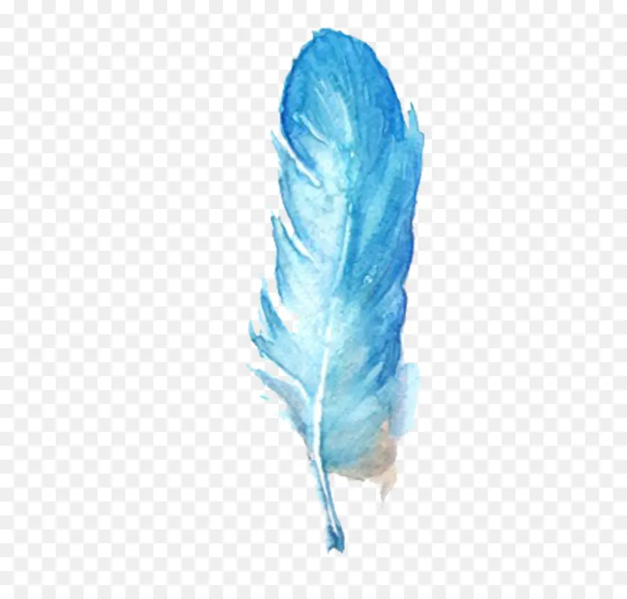 Plume Bleue，Aquarelle PNG