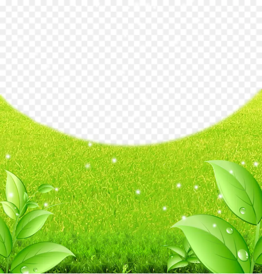 Feuilles Vertes，Herbe PNG