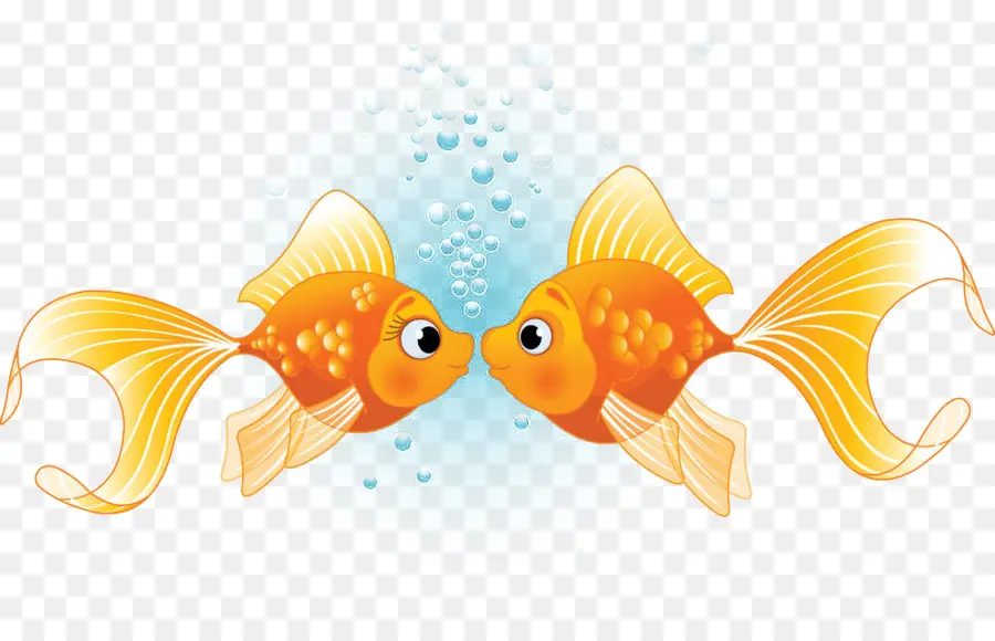 Poisson Rouge，Eau PNG