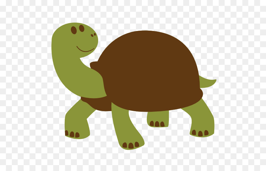 Tortue Verte，Coquille PNG