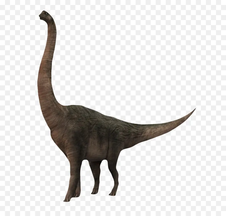 Chat，Dinosaure PNG