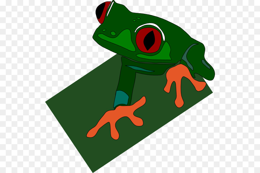 Grenouille，Grenouille D Arbre De Redeyed PNG