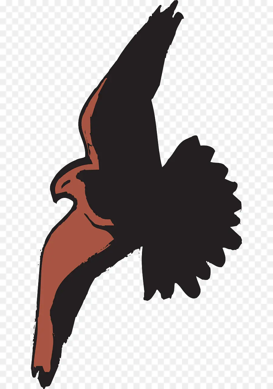 Oiseau Volant，Ailes PNG