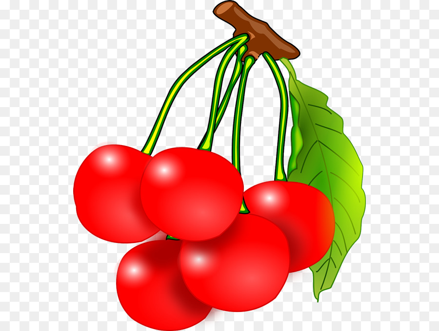 Cerises Rouges，Feuille PNG