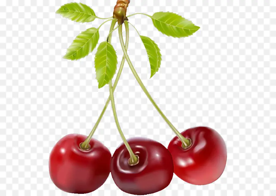 Grappe De Cerises，Cerises PNG